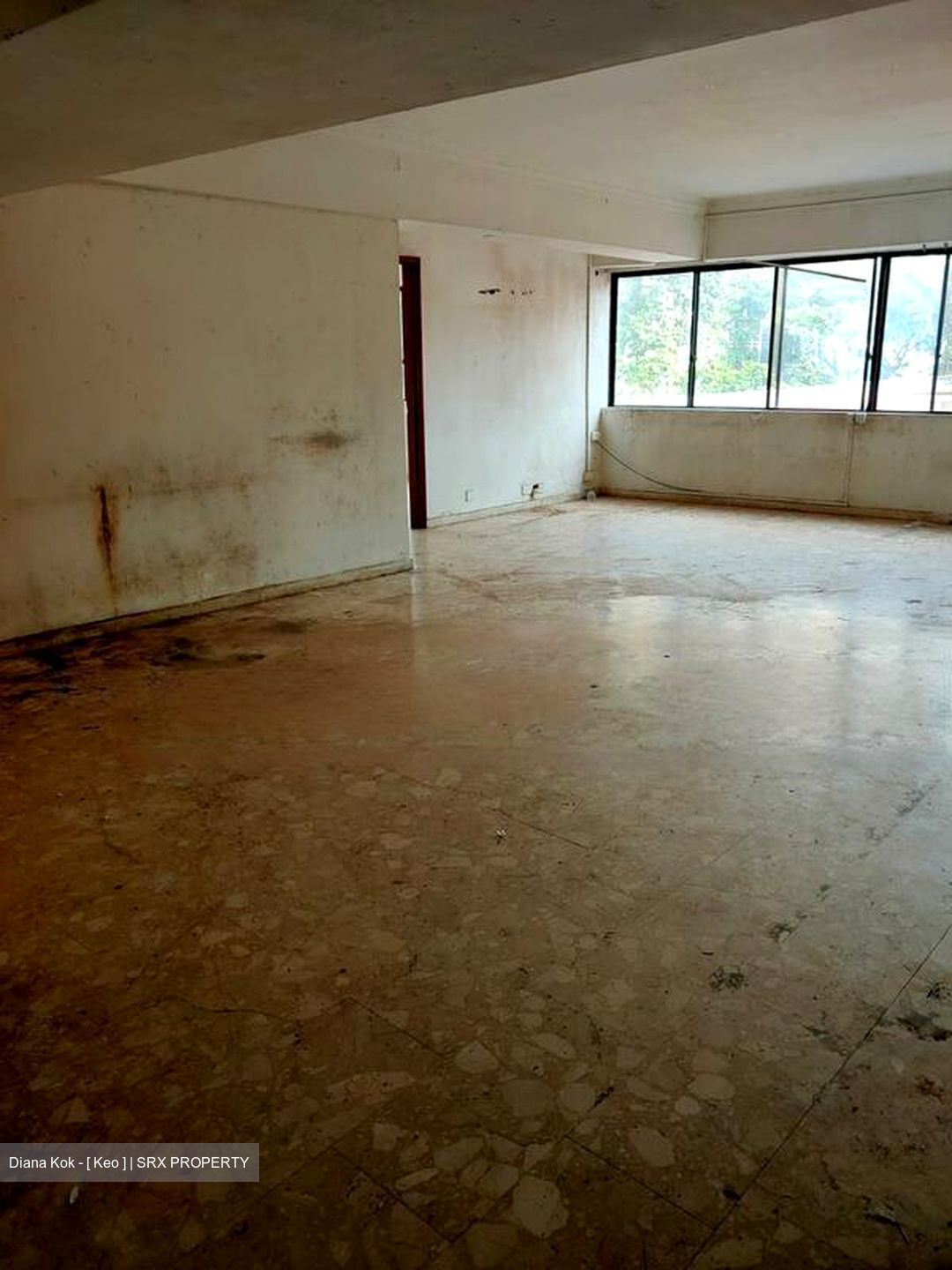 Canberlin Apartments (D14), Land #461652821